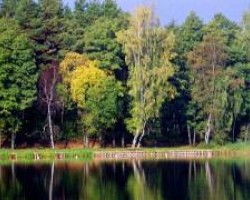 Tylko dla "Nas-Troje"  :)